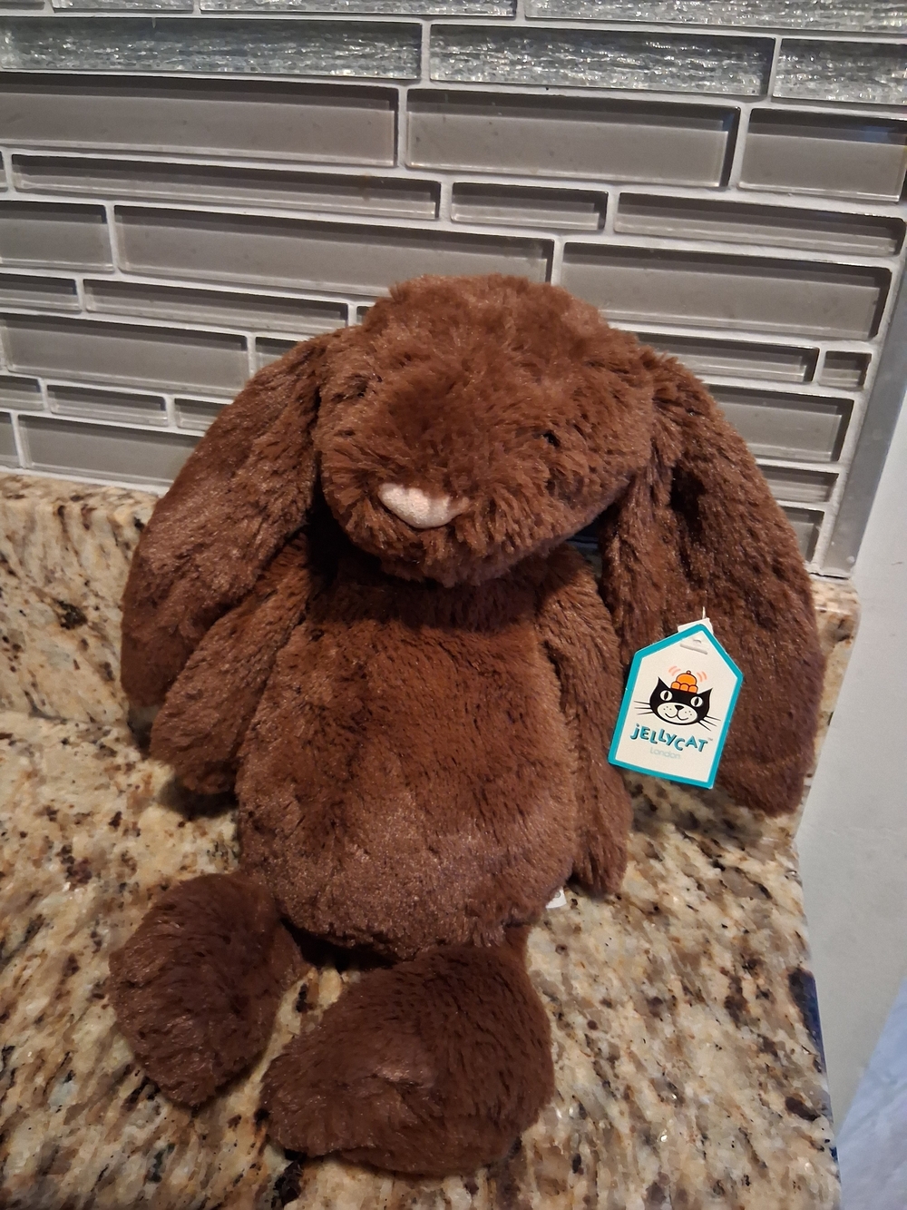 RARE Jellycat Small Bashful Chocolate Bunny - nwt, retired
